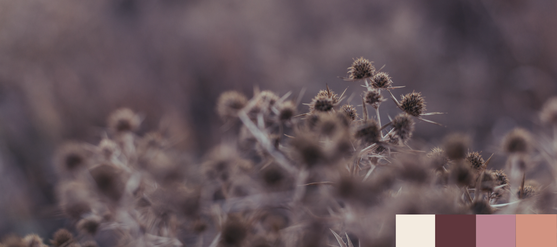 Die 4 Trendfarben im Herbst/ Winter 2026/27